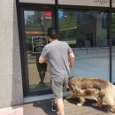 해피트리 동물병원 이미지