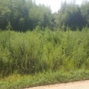 방골경로당 이미지