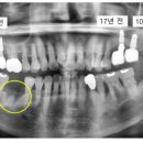 동탄주치과의원 이미지