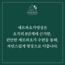서이요가명상