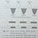 (주)동주 A | 13. 작물의 개화 및 결실
