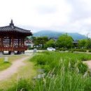 모양성숯불구이 이미지