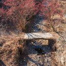 의성마늘한우프라자 이미지