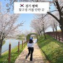 세븐일레븐 평택은혜로점 | 평택 근교 가볼만한곳 벚꽃 배꽃 수국 코스모스 핑크뮬리 꽃구경 갈만한 곳