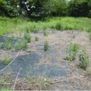 시곡3리 마을회관 이미지