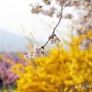 장군로-1 이미지