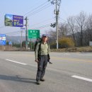 개나리꽃민박 이미지