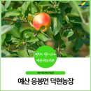 덕현농장 이미지