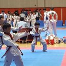 선무태권도 이미지