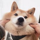 YBM인천센터 #ybm부평 #YBM어학원 위니강사 #위니토익...와이비엠][인천토익학원추천][토익홀릭수강후기