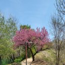 서진 동물병원 이미지