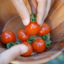 최성농장 이미지