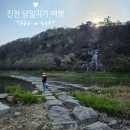 월현천 | 진천 당일치기 여행 코스 | 농다리부터 한반도지형까지 완벽 정리 (서울 근교 드라이브)