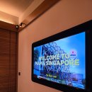 2026 싱가포르 여행 5박 6일 일정 후기 1편 (싱가포르항공, 마마쉘터, 스위소텔 더 스탬포드)