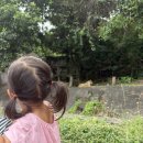 월드환경(주) | 파타야여행 카오키 오픈주 (무뎅실물 직관후기)