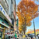 씨유종로세운상가점 | 2025 가을 서울단풍구경 세운상가 - 종묘 - 종로3가 - 정독도서관 - 삼청동까지 다녀왔어요