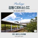 (주)경주신라C.C(회원제) | 11월 경주에서 즐기는 프리미엄 골프, 강동디아너스cc 1박2일 패키지