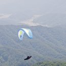 버드스쿨 이미지