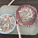 송정유료낚시터 이미지