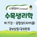 [Renewal 나무의사] 수목생리학 - 제17강 광합성(CAM식물), 광보상점/광포화점 조회수 2.7천회 1년 전 이미지