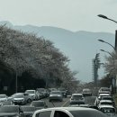 한라체육관 | 2024 제주북페어 3/30~31 한라체육관,무료입장