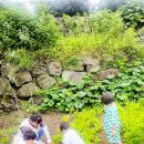 연화어린이집 이미지