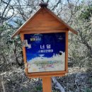 달마고도 Daum카페