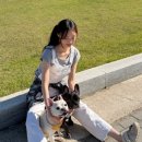 관천리 | 5월 5일은 어른이날! 강아지 동반 숙소 내돈내산