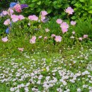 동광리-7 이미지