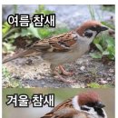 참새 - 남동구 성말로44번길 32 | 참새