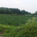 여주-1022 이미지