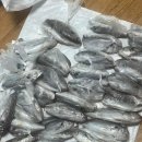 선상슈퍼 이미지