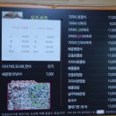 독도참가자미회 이미지