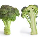 그랜드미래흉부외과의원 이미지