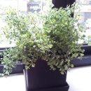 [자격증 취득과정] 독서지도사(3) 이미지