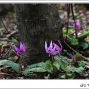 해나라3호 이미지