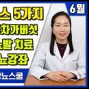 연속 자동혈당 측정기, 당뇨강좌, 차가버섯 등에 관한 뉴스 이미지