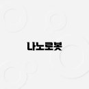 나노