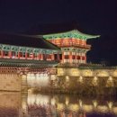 야경코스 이미지