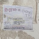 안산 맛집 어머님 칼국수 추천 내돈내산 후기
