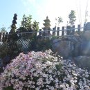 정다운공인중개사사무소 이미지