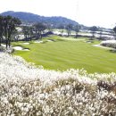 오름종합건설(주) 이미지