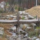 평창자연휴양림 이미지