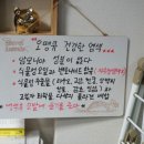 오땡큐(O'Thank You) - 성남시 중원구 | 오땡큐(O'Thank You)