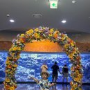 아쿠아플라넷 제주 | 제주 아이랑 가볼만한곳 | 21개월 아들과 다녀온 아쿠아플라넷 제주 후기