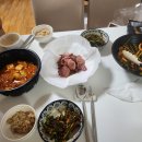 24.07.11~08.20 개도 안걸린다는 여름 감기에 걸려버린 나(부제:윤성이 얼굴 보고가세요)