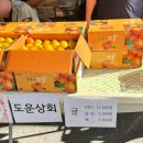 도운상회 네이버블로그