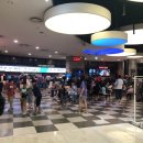 마이펫푸드 이미지