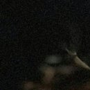 비체팰리스휴양콘도미니엄 이미지