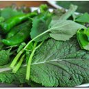 개성쌈밥 이미지